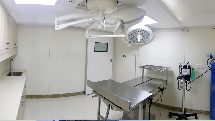 寵物門(mén)診DR室防輻射工程解決方案 寵物門(mén)診DR室防輻射工程解決方案